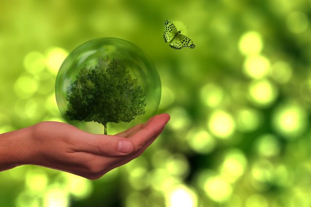 https://imd-corporate.com/wp-content/uploads/2024/11/Sustainability-640x427.jpg
